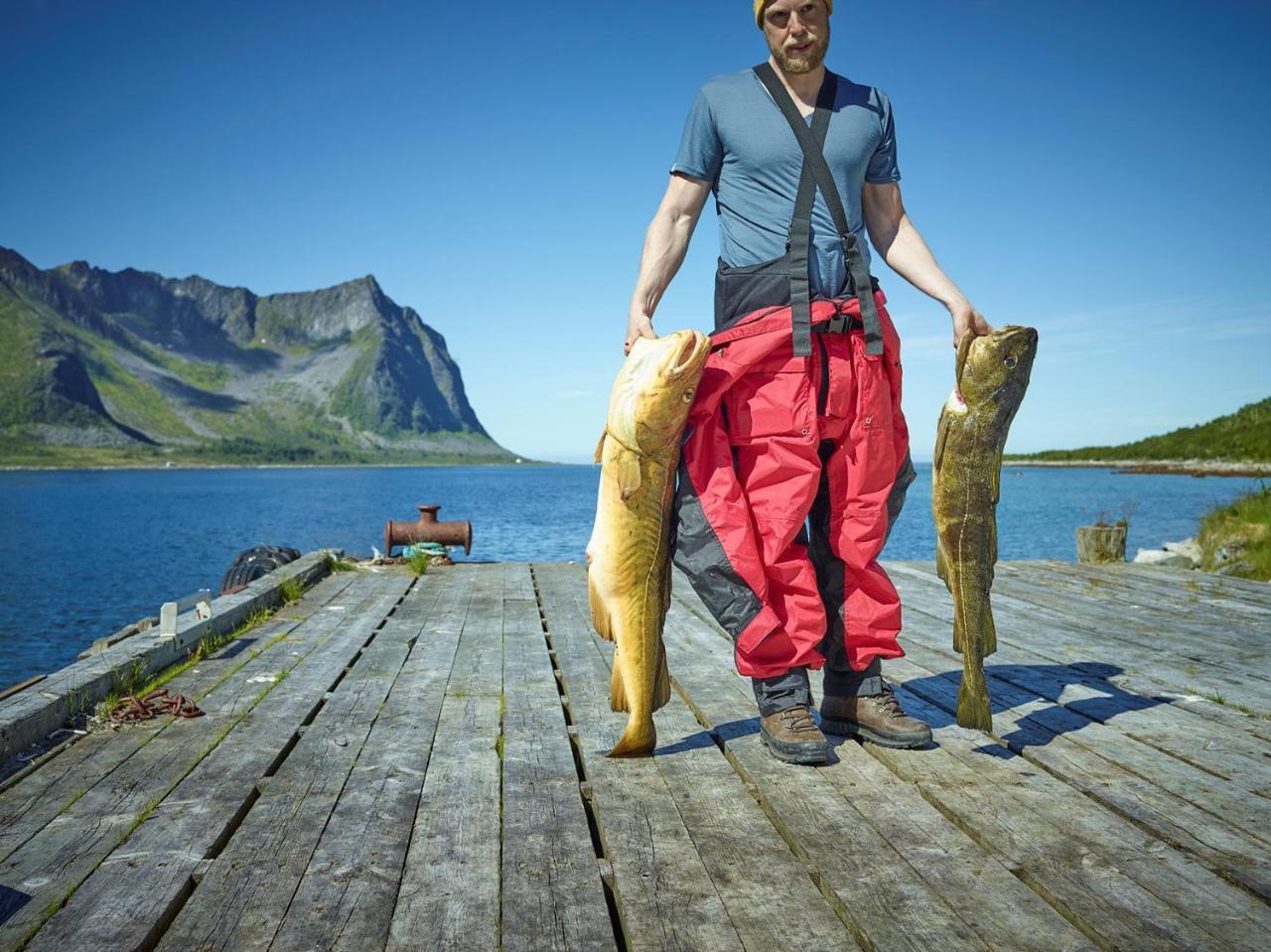 Northern Light Hotell/Camp Steinfjord Berg  エクステリア 写真