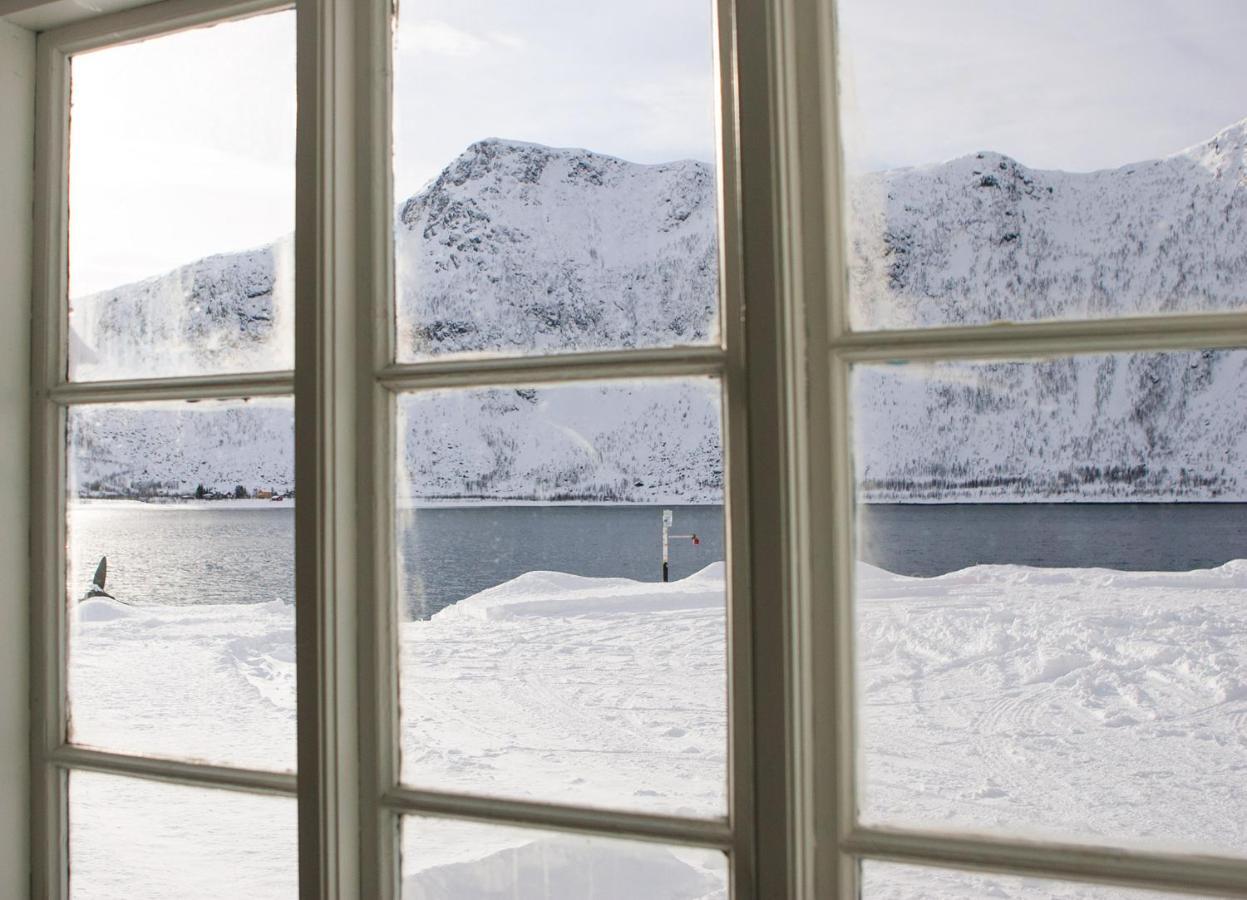 Northern Light Hotell/Camp Steinfjord Berg  エクステリア 写真