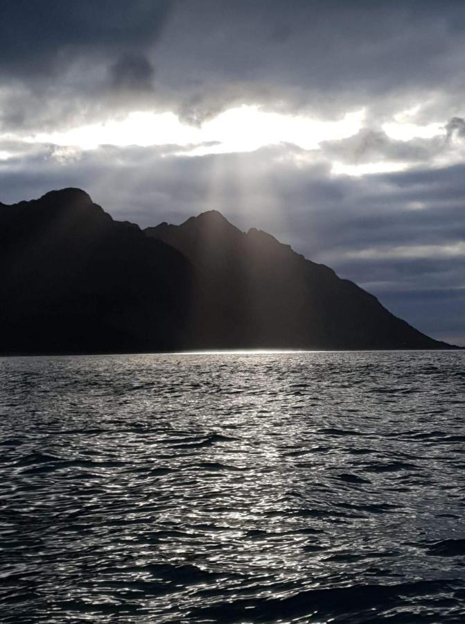 Northern Light Hotell/Camp Steinfjord Berg  エクステリア 写真