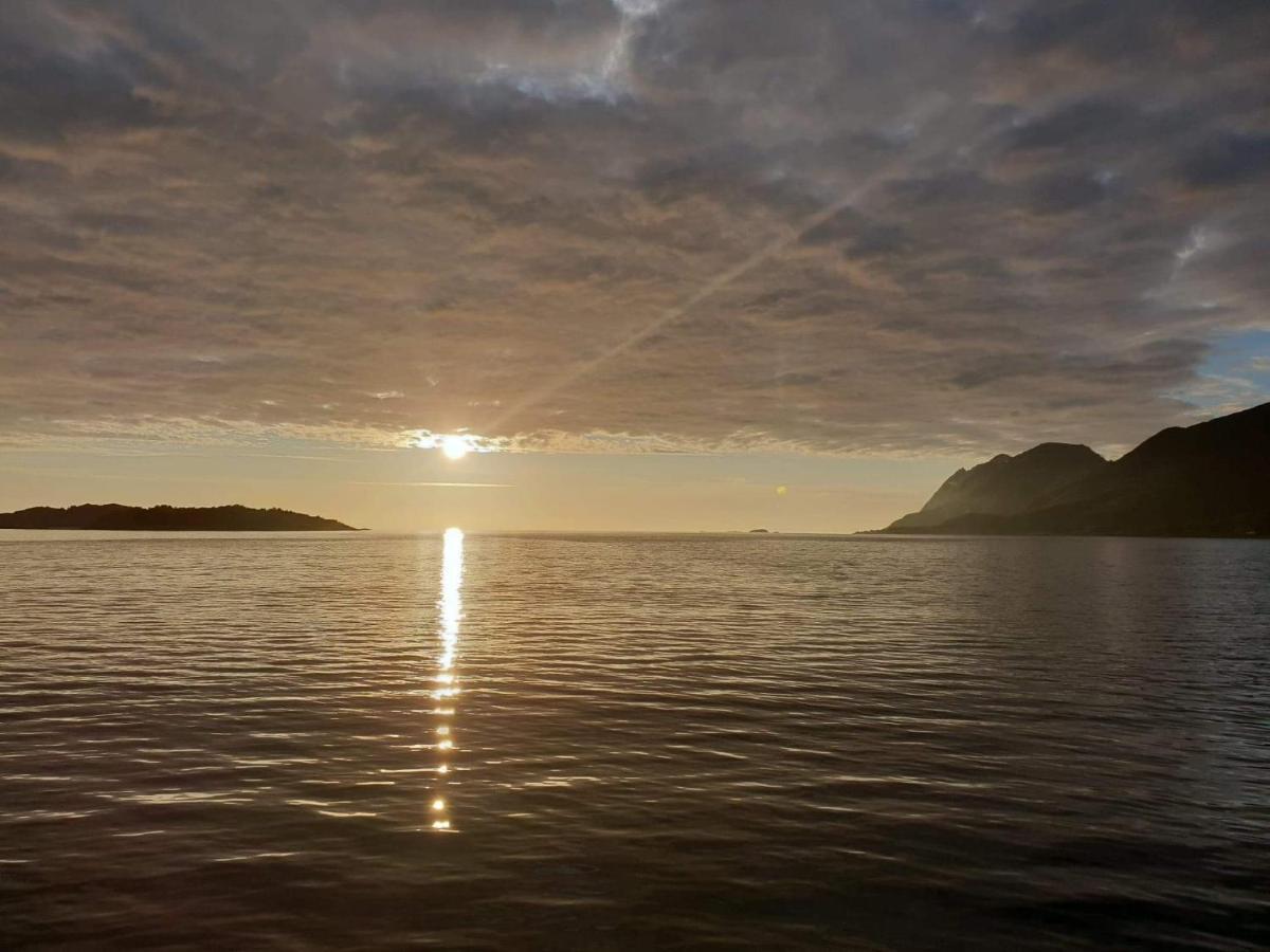 Northern Light Hotell/Camp Steinfjord Berg  エクステリア 写真